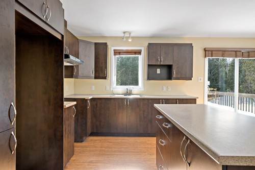 Cuisine - 1708 Route 323 N., Amherst, QC - Indoor Photo Showing Kitchen