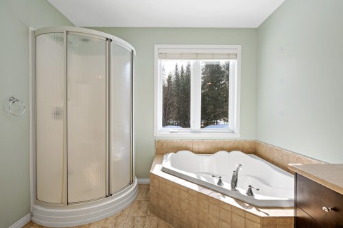 Salle de bains - 1708 Route 323 N., Amherst, QC - Indoor Photo Showing Bathroom