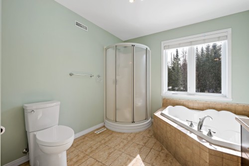 Salle de bains - 1708 Route 323 N., Amherst, QC - Indoor Photo Showing Bathroom
