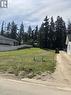 1821 22 Street Ne, Salmon Arm, BC 