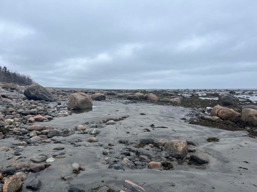 Water view - 41 Route 138, Baie-Trinité, QC - Outdoor With View