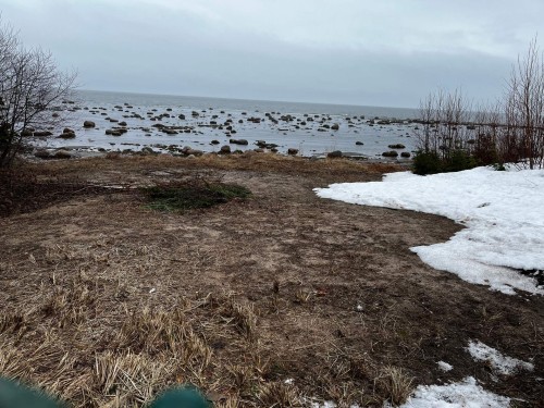 Water view - 41 Route 138, Baie-Trinité, QC - Outdoor With View