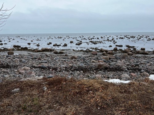 Water view - 41 Route 138, Baie-Trinité, QC - Outdoor With View