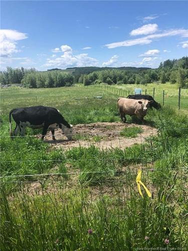 245 Hunter Rd, Oakland, NB 