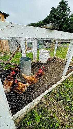 245 Hunter Rd, Oakland, NB 