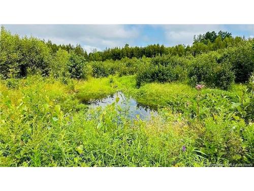 245 Hunter Rd, Oakland, NB 