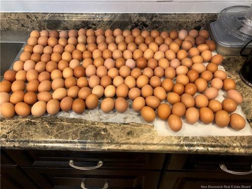 245 Hunter Rd, Oakland, NB 