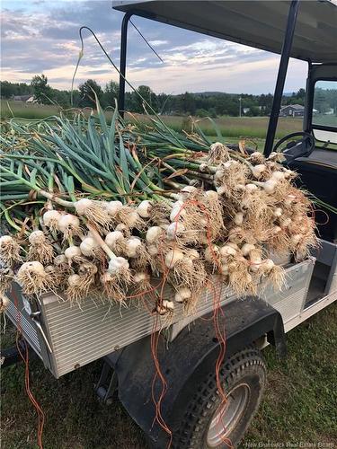 245 Hunter Rd, Oakland, NB 