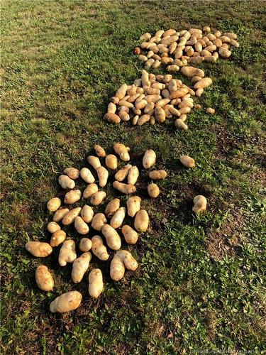 245 Hunter Rd, Oakland, NB 