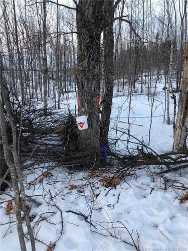 245 Hunter Rd, Oakland, NB 