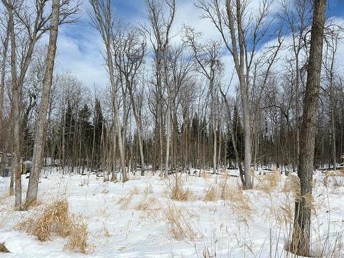 11 Amherst Dr, Pinawa, MB 