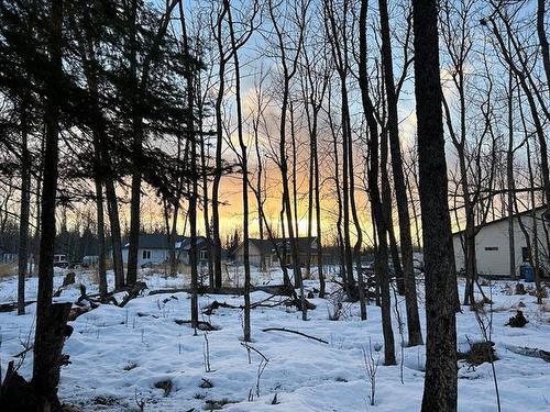 11 Amherst Dr, Pinawa, MB 