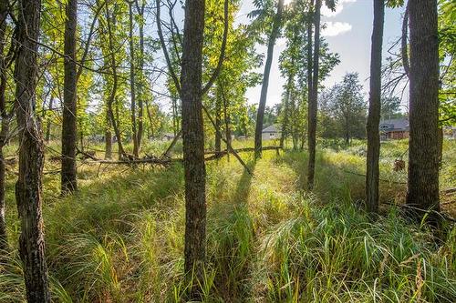 11 Amherst Dr, Pinawa, MB 