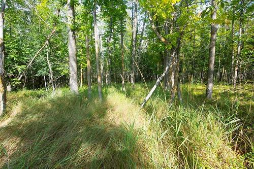 11 Amherst Dr, Pinawa, MB 