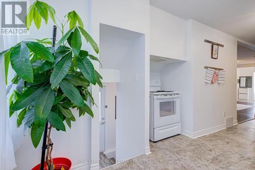 36 Harmony Avenue, Hamilton, ON - Indoor Photo Showing Kitchen