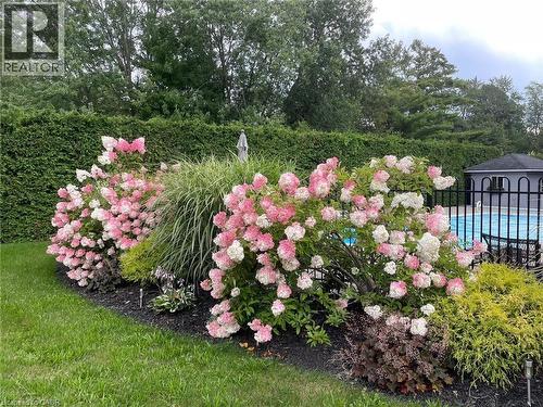 1 Brown Avenue, Cambridge, ON - Outdoor