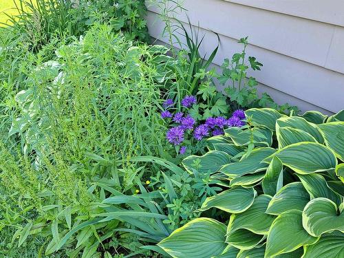 220 Clark Street, Summerside, PE 