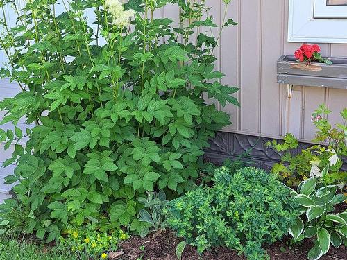 220 Clark Street, Summerside, PE 