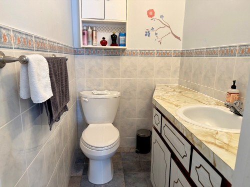 Salle d'eau - 4910 Boul. Notre-Dame, Laval (Chomedey), QC - Indoor Photo Showing Bathroom