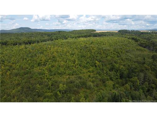 0 Beechwood Rd, Beechwood, NB 