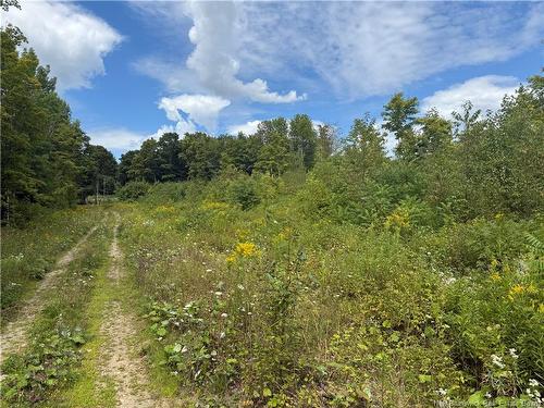 0 Beechwood Rd, Beechwood, NB 