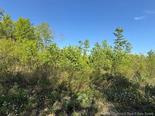 0 Beechwood Rd, Beechwood, NB 