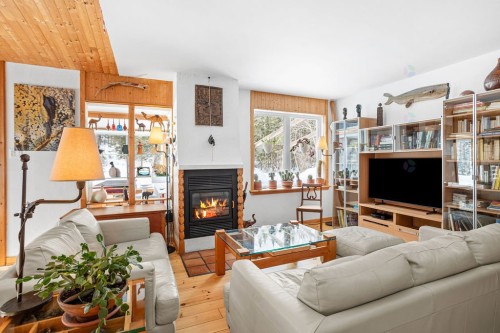 Salon - 1312 8E Rang, Val-David, QC - Indoor Photo Showing Living Room With Fireplace