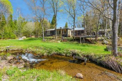 Bord de l'eau - 