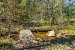 Bord de l'eau - 