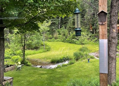 Terre/Terrain - 1312 8E Rang, Val-David, QC - Outdoor