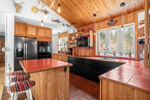 Cuisine - 1312 8E Rang, Val-David, QC - Indoor Photo Showing Kitchen With Double Sink