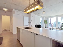 1110-195 Rue Peel  Montréal (Le Sud-Ouest), QC H3C 2G6