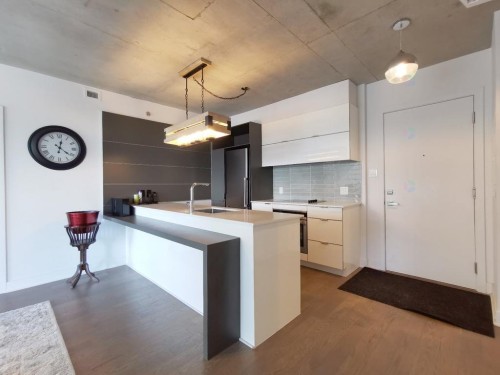 Kitchen - 1110-195 Rue Peel, Montréal (Le Sud-Ouest), QC - Indoor Photo Showing Kitchen