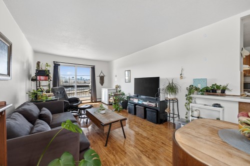 Salon - 203-231 Rue Riverside, Saint-Lambert, QC - Indoor Photo Showing Living Room