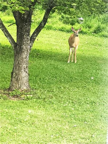 215 Lansdowne Rd, Peel, NB 