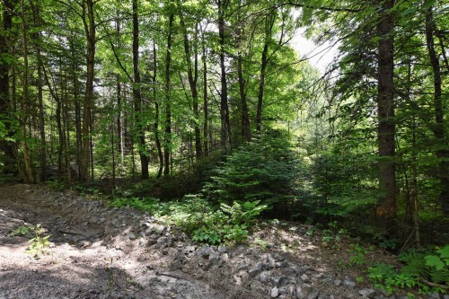 Accès au plan d'eau - Ch. Cambria, Gore, QC 