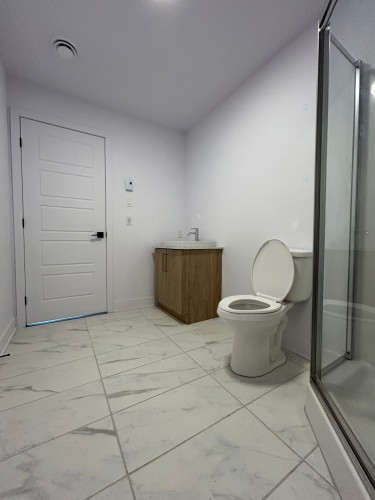Salle de bains - 19 Rue De L'Hirondelle, Brownsburg-Chatham, QC - Indoor Photo Showing Bathroom