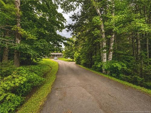2382 Route 490, Ammon, NB 
