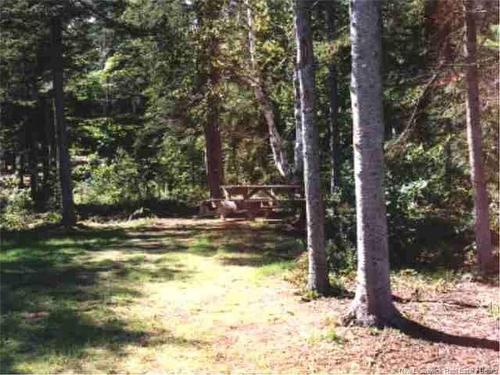 1310 Route 505, Sainte-Anne-De-Kent, NB 