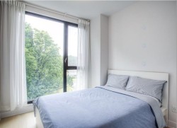 Bedroom - 