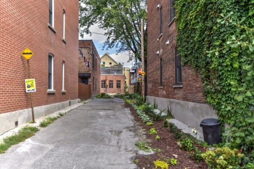 Street - 4357 Av. Christophe-Colomb, Montréal (Le Plateau-Mont-Royal), QC - Outdoor