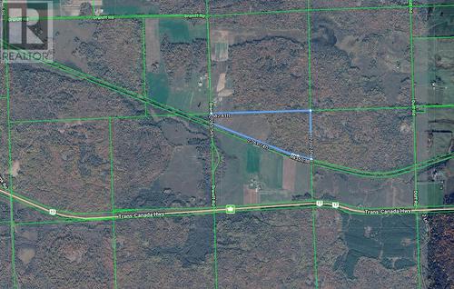 Lot 29 Braniff Rd, Plummer Additional, ON 