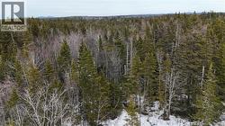 Goldsworthy Road  Black River, NB E2J 4V1