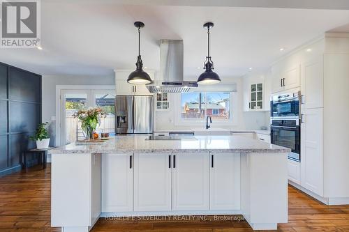 203 Montmorency Drive, Hamilton, ON - Indoor Photo Showing Kitchen With Upgraded Kitchen