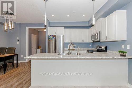 9 Hiscott Drive, Hamilton, ON - Indoor Photo Showing Kitchen With Double Sink With Upgraded Kitchen