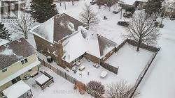 Ariel of the Backyard - 