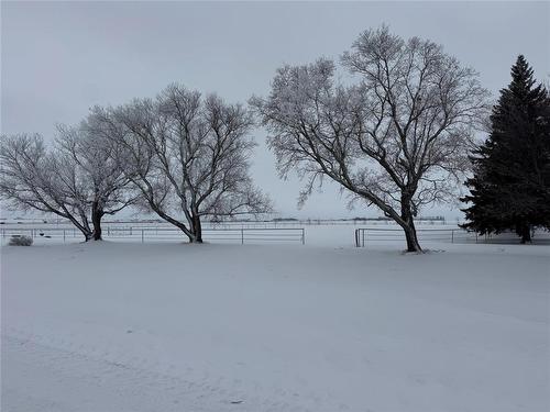 Alexander, Manitoba - Outdoor With View