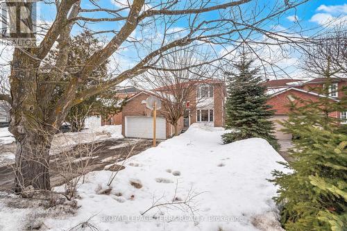 44 Carruthers Crescent, Barrie, ON - Outdoor
