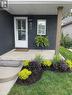 82 Orchid Crescent, Kitchener, ON  - Outdoor 