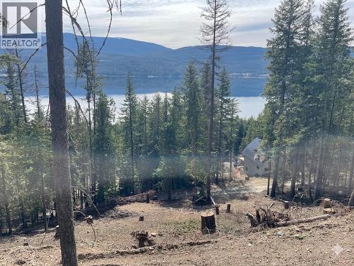 2401 Vickers Trail, Anglemont, BC 